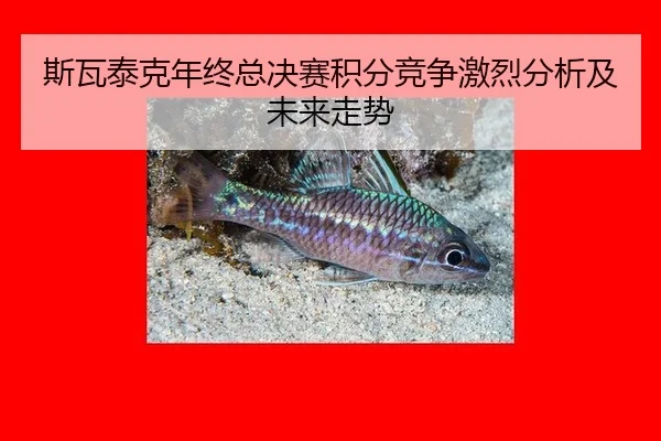 斯瓦泰克年终总决赛积分竞争激烈分析及未来走势